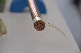 阳谷电缆集团闪耀儒商大会 通信线缆领域多项高新技术产品引业界瞩目