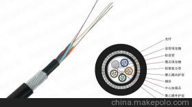 GYTA-8B1室外光缆 8芯通信神经的坚固守护者，铸就高效网络基石